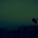 가을 숲으로 가자 이미지