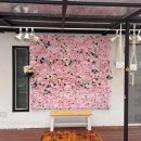 빵굽는 야옹이 이미지