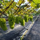 아이클유치원 이미지