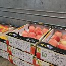 대풍원예 이미지