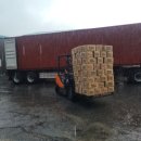 현구운수 이미지