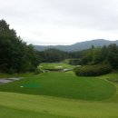 삼성골프주