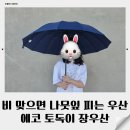 에코컴 | E코닷컴 에코 토독이 장우산 후기 장마철 필수템 추천