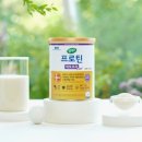 매일복사