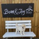 봄앤조이 스테이 이미지