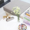 바로봄한의원 이미지