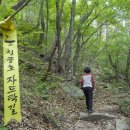 삼봉산_숲길(등산)1코스 | 제천 걷기 좋은 길 트레킹코스 제천 청풍호 자드락길 3코스 얼음골생태길