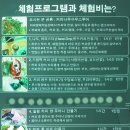 가평하늘커피농장 이미지
