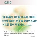 스티카 Daum카페