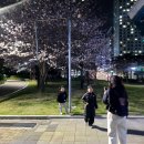 호텔 빅토리아 | 부산 해운대구 우동 / 위치 좋은 가성비 호텔 센텀빅토리아호텔 내돈내산 후기