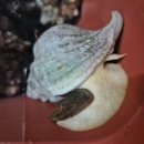 상일호스텔 이미지