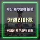 (주)호가 | 부산 후쿠오카 배편 카멜리아호 왕복 탑승 후기 및 꿀팁 정리