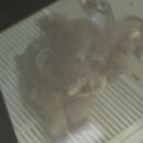 해빛5로 이미지