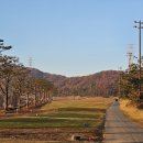 신안골프 이미지