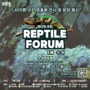 이끼창작스튜디오 이미지