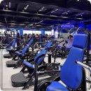 코코휘트니스 이미지