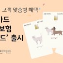 마이펫푸드 이미지