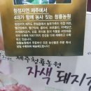 (주)돼지와 건강 이미지