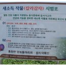 지리산골식품