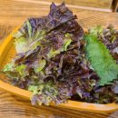 용두동홍초쭈꾸미 네이버블로그