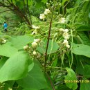 반성중학교 이미지