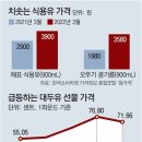 그냥 심심해서요. (14176) 전세계 ‘식용유 쇼크’ 이미지