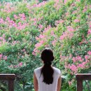 마당극 아버지의 해방일지 | 『빨치산의 딸』에서 『아버지의 해방일지』, 『찌니주의보』에 이르는 길 - 정지아