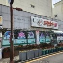 서귀동-19 이미지