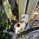 의림대로 | 제천 의림대로 주택 누수되는 부동전 교체해 드렸어요!!!