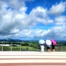 한우목장 이미지