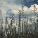 세라젬의료기 이미지