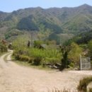 숲속정원펜션 이미지