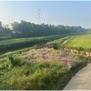 미로화장품 - 동구 율하동로19길 62 | 화장품 알바 후기 5