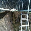 화봉농장 이미지