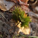 용정농장 이미지