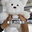 체로프 코리아 (CHEROP KOREA) | 강아지인형추천 체로프 몽모인형 벨트커버인형 후기