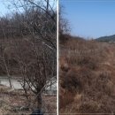삼웅1리 이미지