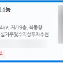 신화하니엘타워(신화하니엘오피스텔) 이미지