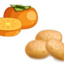 장천초 병설유치원 이미지