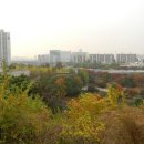 성내천쉼터 이미지