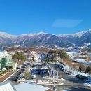 The 산수유 | 2026.03~04월 축제 시즌 구례 산수유축제 숙소 추천 🌼 더케이 지리산가족호텔 (위치 최고라 여기로 끝)