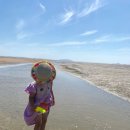 리틀미코노스5 이미지