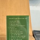 유미핸즈