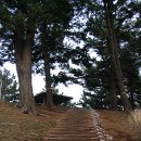 꿈꾸는웰빙 이미지