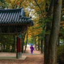 온천택시합명회사 | 평생 후회 없는 국내여행 버킷리스트 100 (네 번째)
