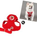 천사애견 이미지