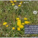 쟁골저수지 이미지