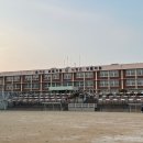 터미날마트청과
