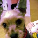 대소동물병원 이미지