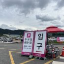 광사1천 | 다시보는 양주 나리공원 천일홍축제